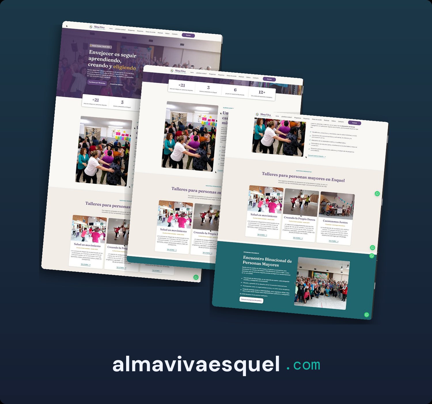 Proyecto almavivaesquel.com