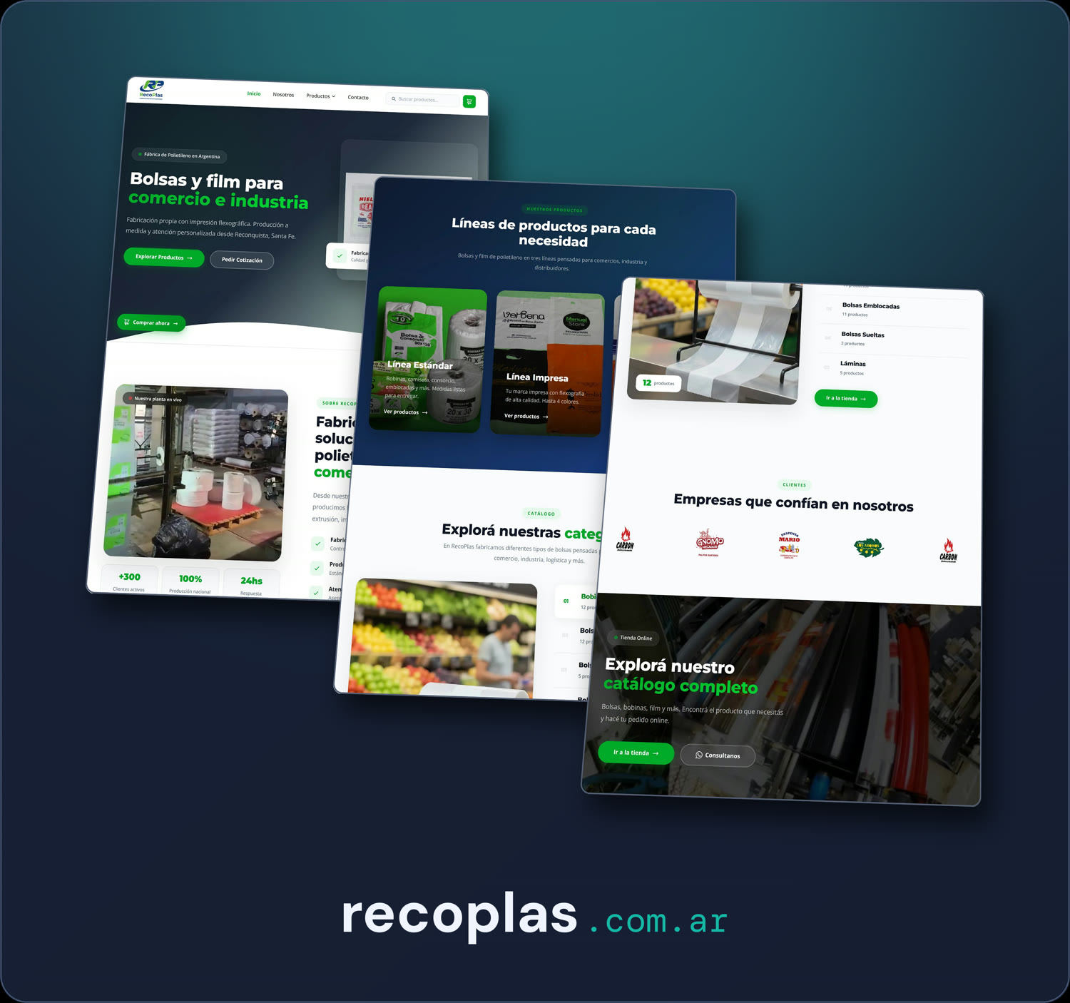 Proyecto recoplas.com.ar